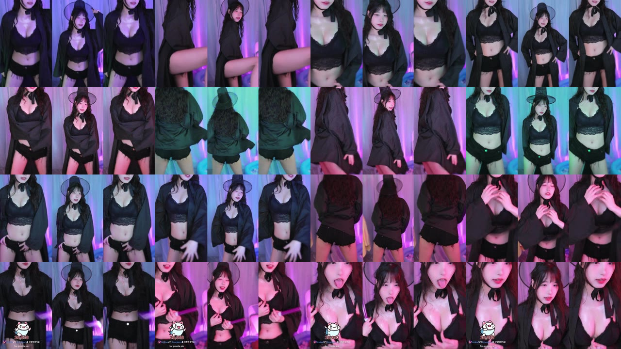 세계（world1104）251004
