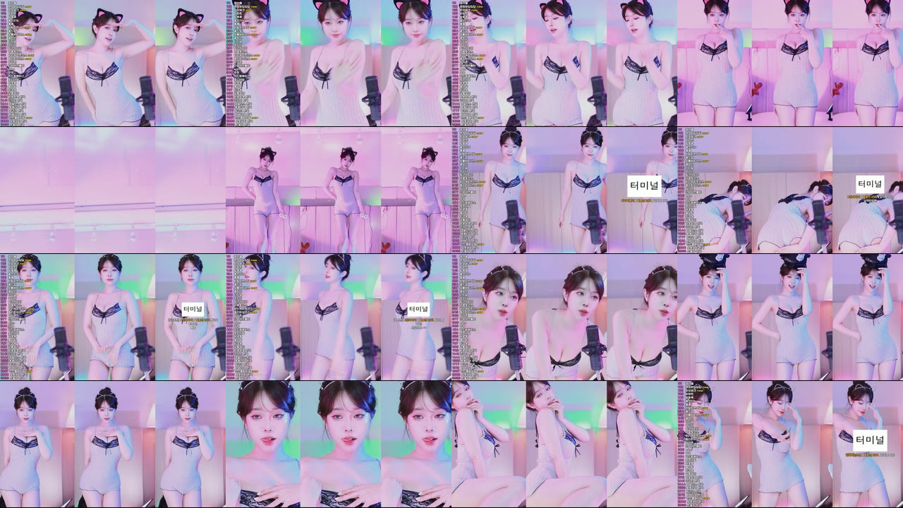 재희。（crazycatsss）250210