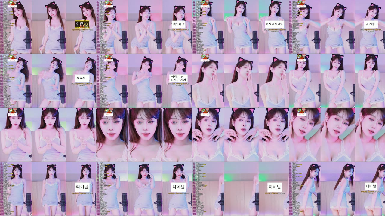 재희。（crazycatsss）250224