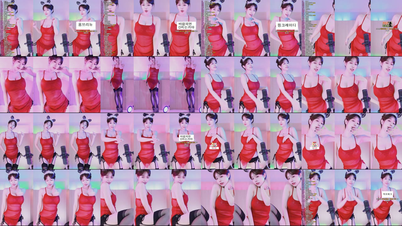 재희。（crazycatsss）250320