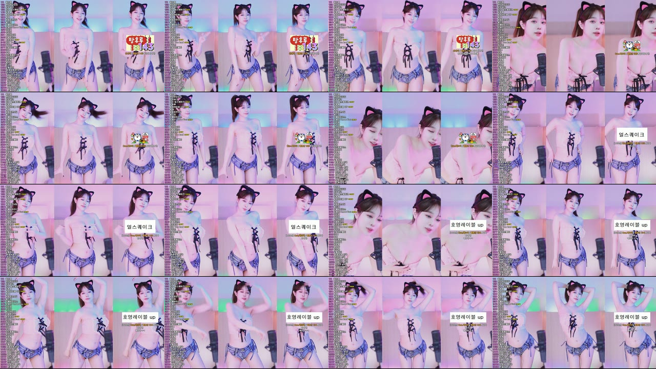 재희。（crazycatsss）250416