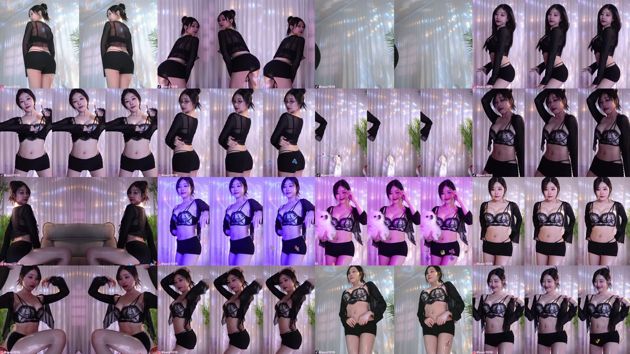 정서이_（seoi1016）260503