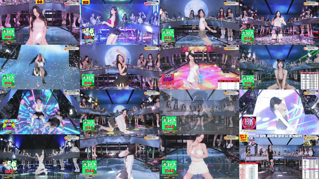 팬더스쿨（pandaex）240830