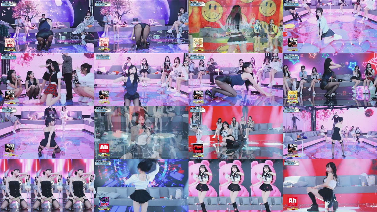 팬더스쿨（pandaex）260130