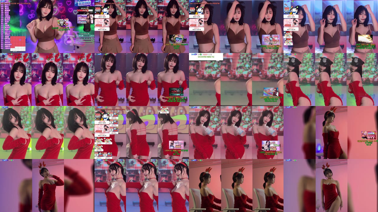 하루S2（sol3712）241224