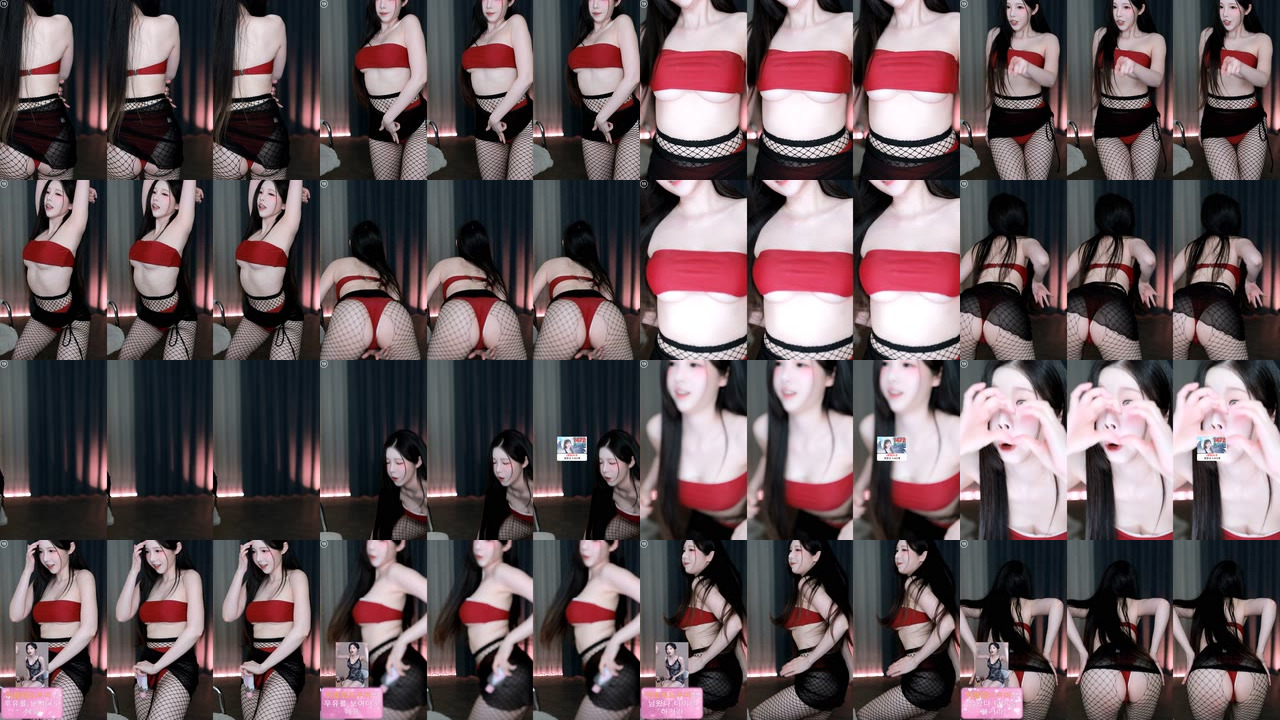 BJ햄찡（gusdk2362）260421